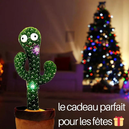 Cactus dansant bébé | Amusement et eveil pour toute la famille